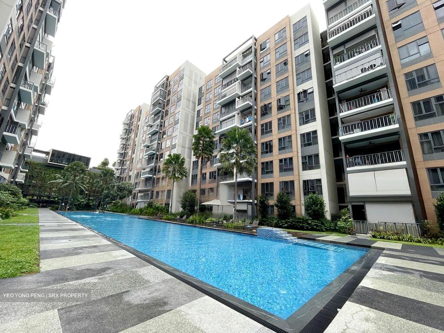 The Brownstone (D27), Condominium #480800091